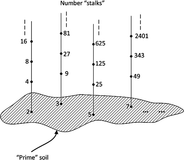 有限域分类示意